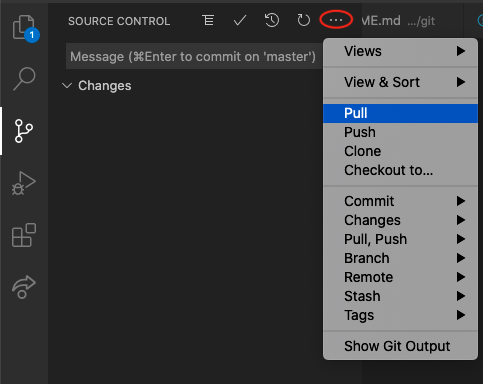 VSCode after committing a file pull