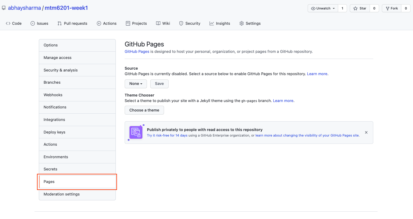 GitHub Pages page options tab