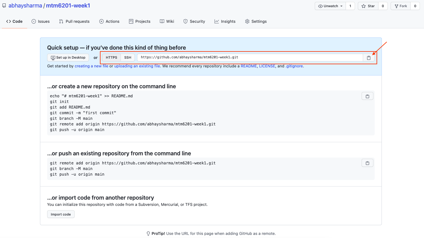 github copy repo