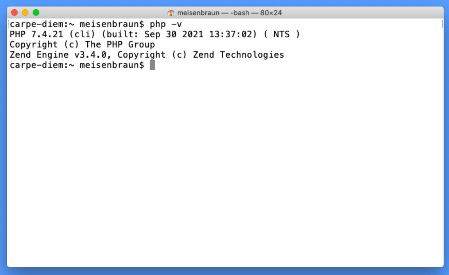 The terminal showing the PHP Version